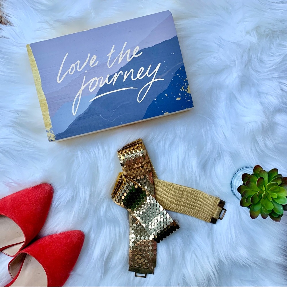 Vintage Gold Scale Belt⚡️